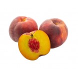 PESCHE.P.GIALLA  II A