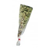 ORIGANO MAZZO GR.50